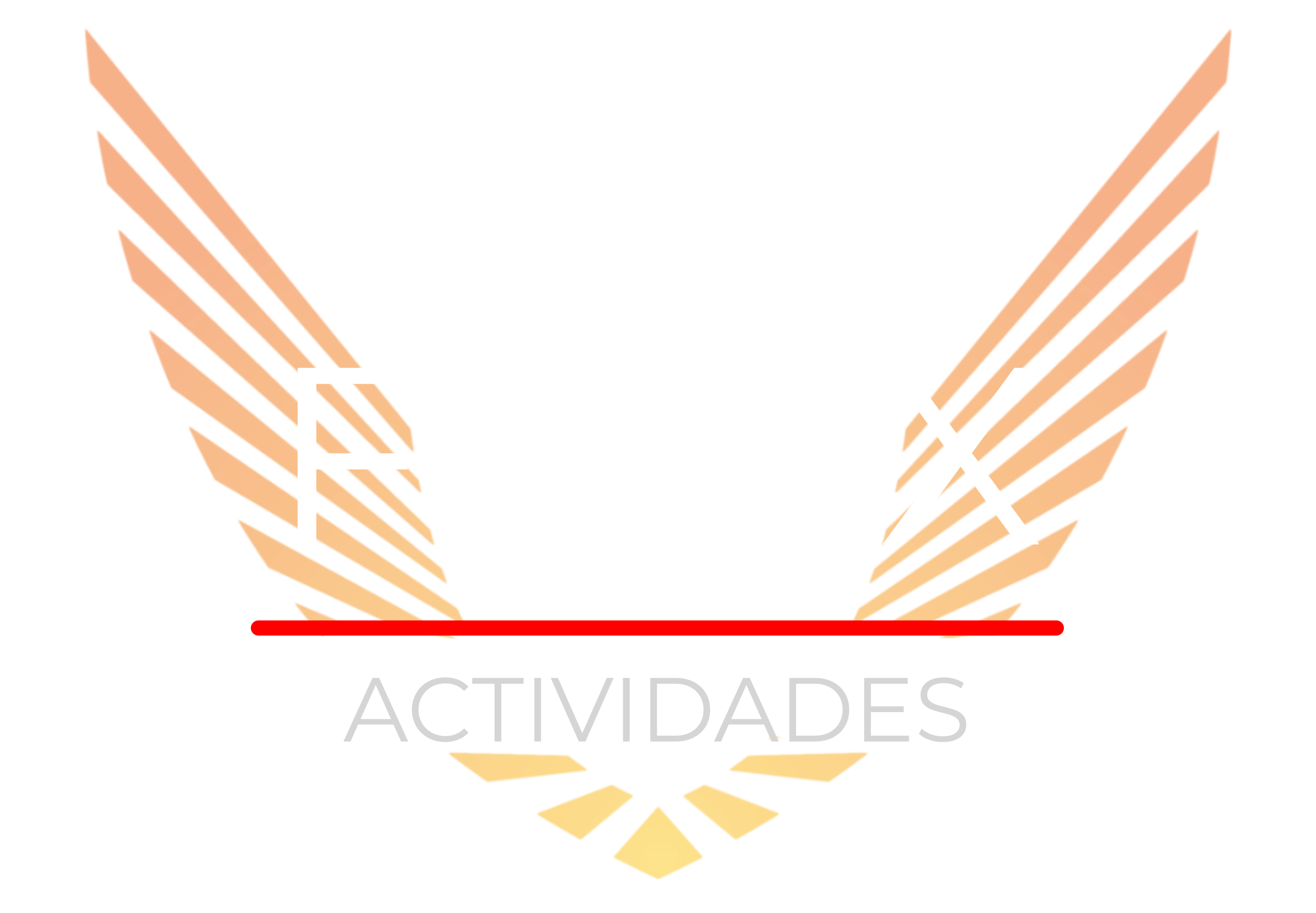 Grupo Fénix Actividades